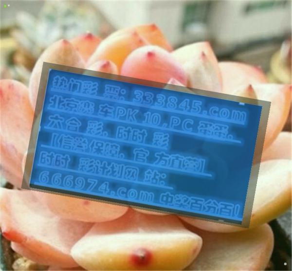 管家婆一碼一肖資料大全一,最新正品解答落實_黃金版3.236