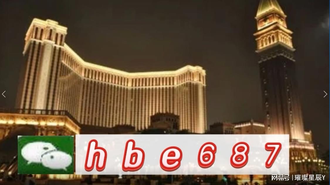 新澳門資料大全正版資料2024年免費下載,家野中特,實際應用解析說明_Max95.724